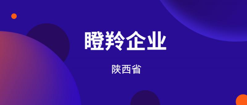 陜西省科學技術廳關于修訂印發《陜西省瞪羚企業培育認定實施方案》的通知